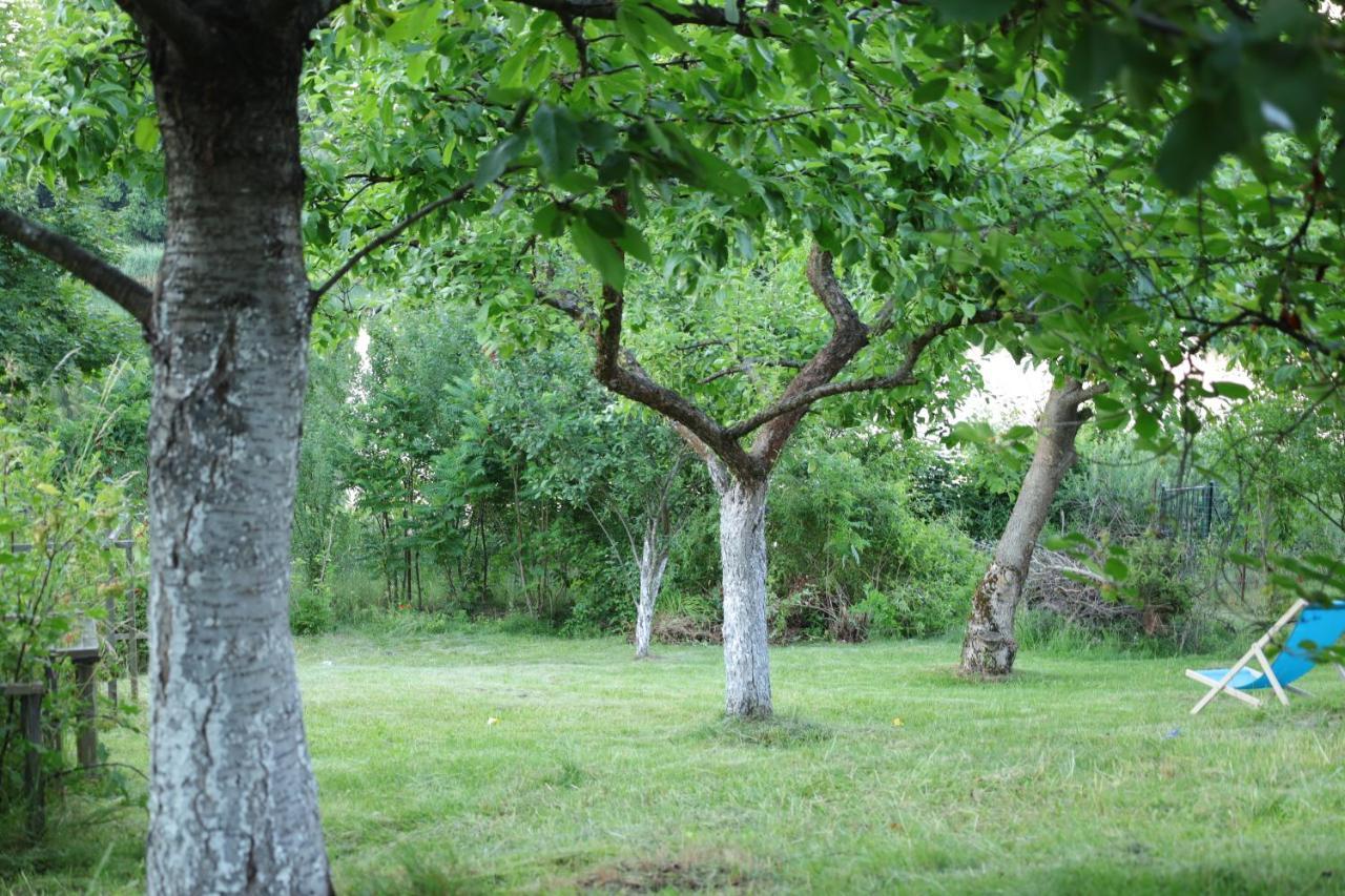 Lawendowe Pokoje Blisko Lasu - Mikolajki Exterior photo